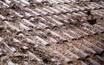 Reiss roof cleaning companies